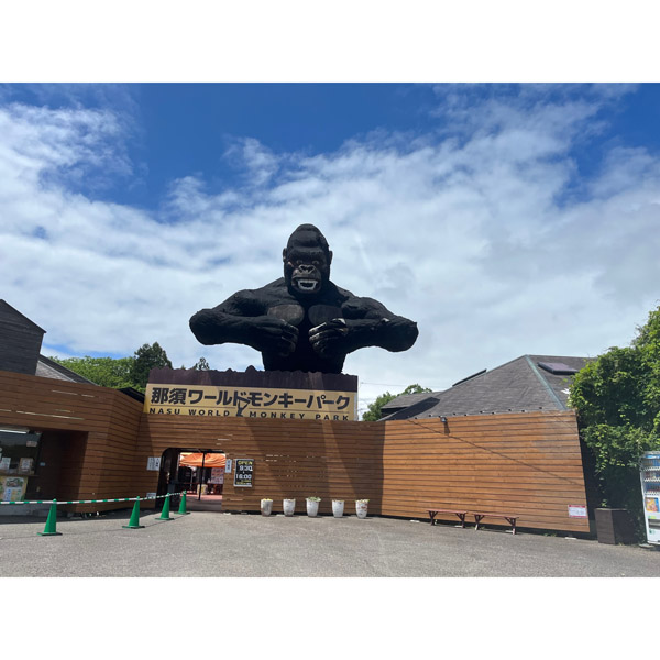 那須ワールドモンキーパーク  ふれあい体験プラン：入園券大人2名様+サルのエサ券付