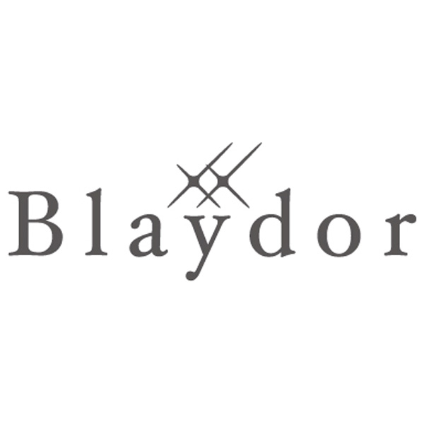 ブレイドール　万能包丁