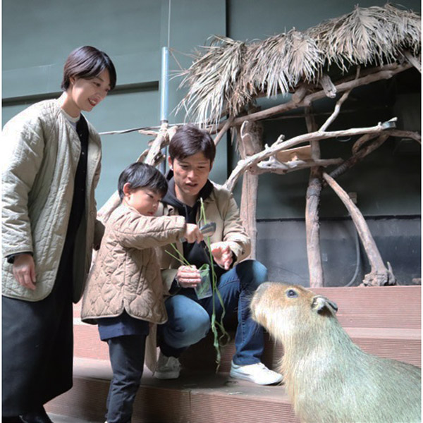 カワスイ 川崎水族館  親子入館チケット3名様分：大人2名と小・中学生1名分の入館チケット　